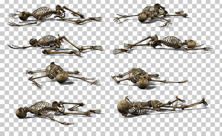 Skeleton Skull PNG, Clipart, Animation, Clip Art, Day Of The Dead, Ear, Endoskeleton Free PNG Download