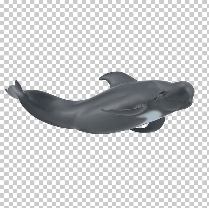 Sperm Whale Short-finned Pilot Whale Long-finned Pilot Whale Cetacea Killer Whale PNG, Clipart, Cerny, Cetacea, Dolphin, Figurine, Humpback Whale Free PNG Download