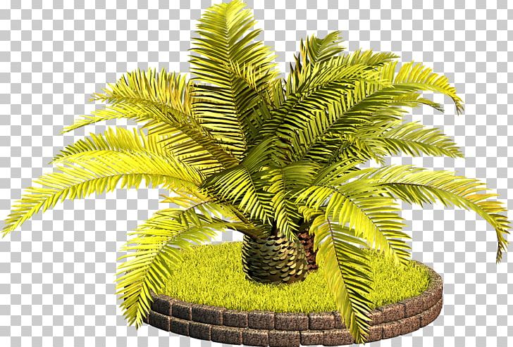 Blog Date Palm Photography PNG, Clipart, Arecaceae, Arecales, Art, Blog, Date Palm Free PNG Download
