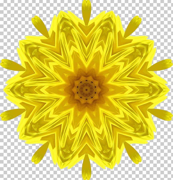 Common Sunflower Sunflower Seed Daisy Family PNG, Clipart, Chrysanths, Common Daisy, Common Sunflower, Cut Flowers, Dahlia Free PNG Download