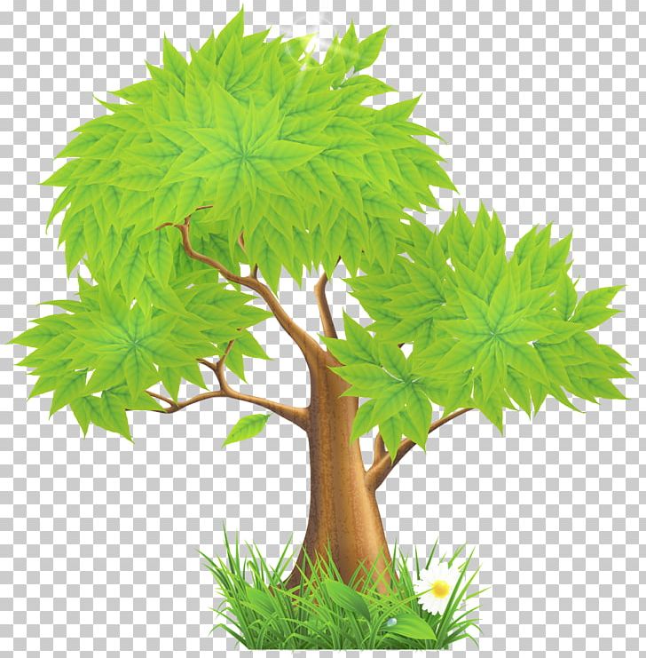 Tree Euclidean PNG, Clipart, Branch, Encapsulated Postscript, Euclidean Vector, Flowerpot, Graphic Design Free PNG Download