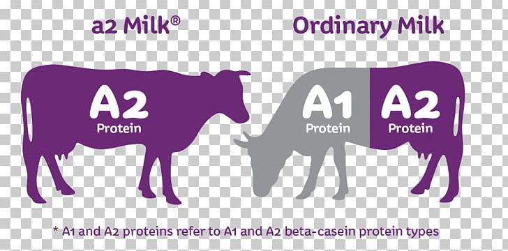 Cattle The A2 Milk Company Casein PNG, Clipart, A2 Milk, A2 Milk Company, Area, Australia, Brand Free PNG Download