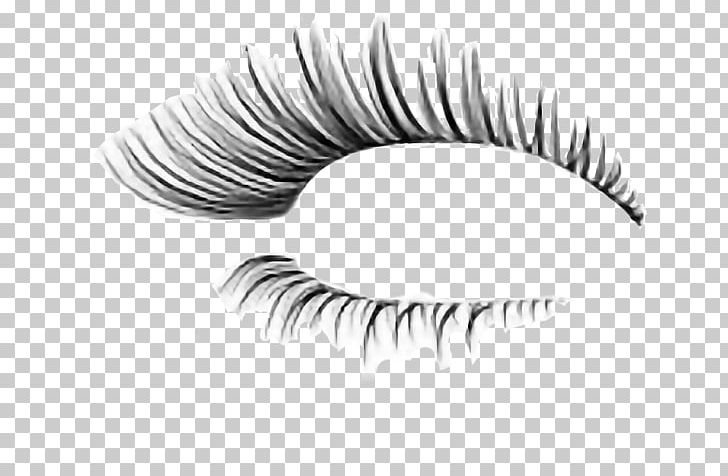 Eyelash Extensions Cosmetics Eye Shadow PNG, Clipart, Artificial Hair Integrations, Beauty, Black And White, Brush, Cosmetics Free PNG Download