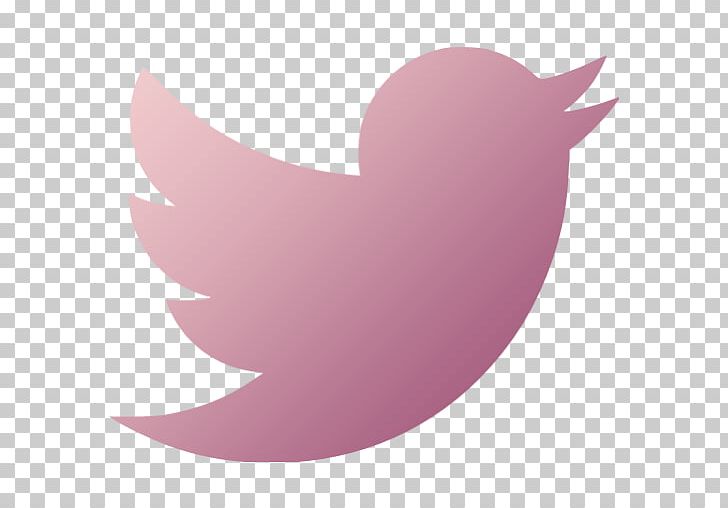 Social Media Computer Icons Social Networking Service PNG, Clipart, Angle, Beak, Bird, Blog, Computer Icons Free PNG Download