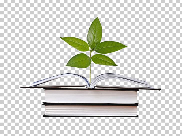 Book Stock Photography Hardcover Publishing PNG, Clipart, Banana Leaves, Book, Books, Depositphotos, Fall Leaves Free PNG Download