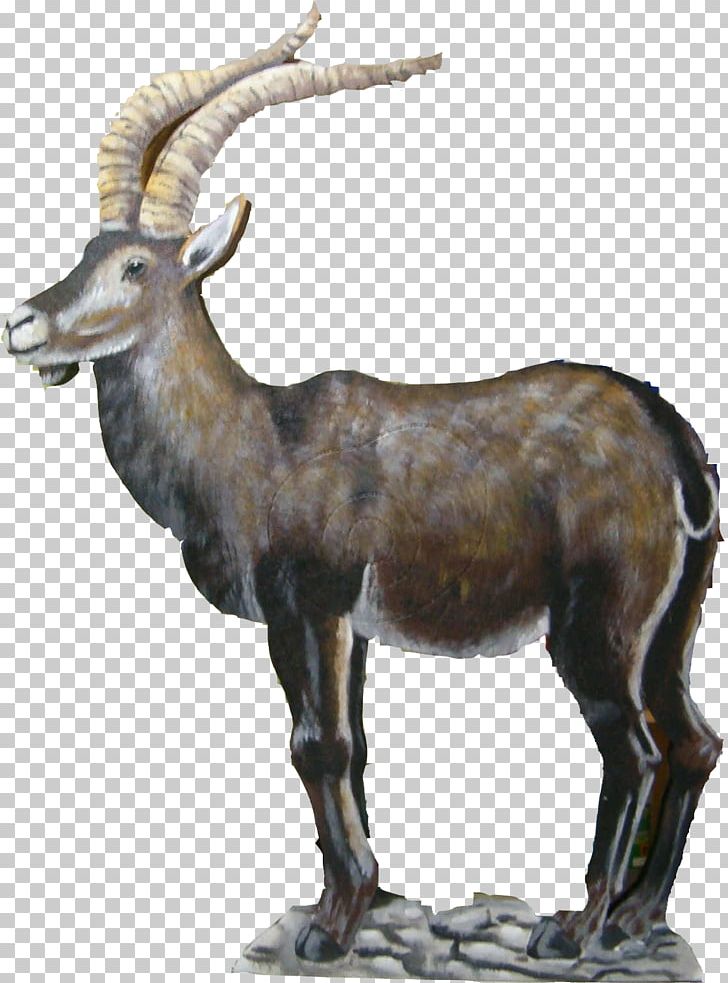 Iberian Ibex Deer Argali Alfacar Cabra PNG, Clipart, Animal, Animals, Antelope, Argali, Bighorn Free PNG Download