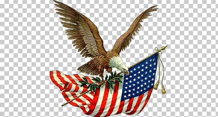 Memorial Day Holiday Parade Armistice Day PNG, Clipart, Armed Forces Day, Armistice Day, Beak, Bird, Bird Of Prey Free PNG Download
