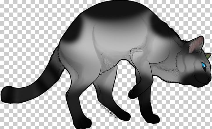 Whiskers Kitten Black Cat Domestic Short-haired Cat PNG, Clipart, Animal, Animal Figure, Animals, Bear, Black Free PNG Download