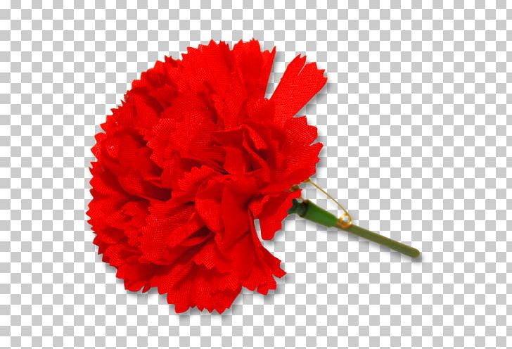 Carnation The Left Socialism International Workers' Day Strike Action PNG, Clipart,  Free PNG Download