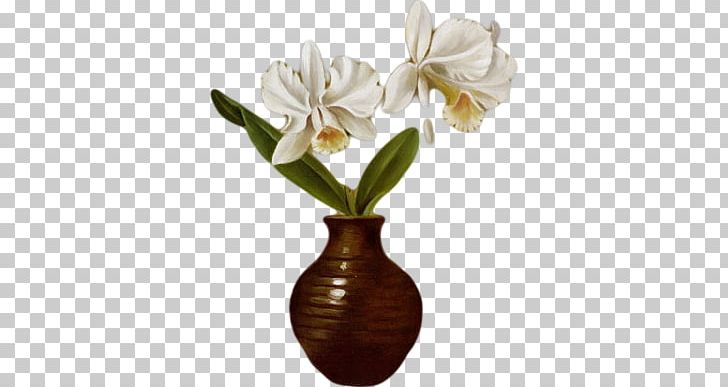 Delicate Cut Flowers Moth Orchids Gaul PNG, Clipart, Artificial Flower, Cut Flowers, Decoupage, Delicate, Flower Free PNG Download