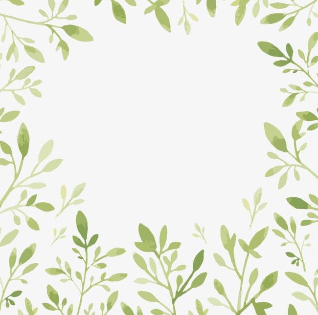 Frame PNG, Clipart, Flowers, Frame, Frame Clipart, Leaves Free PNG Download