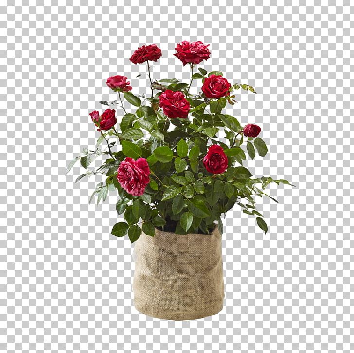 Garden Roses Cut Flowers Artificial Flower Flowerpot Floral Design PNG, Clipart, Annual Plant, Artificial Flower, Cemetery, Cut Flowers, Flora Free PNG Download
