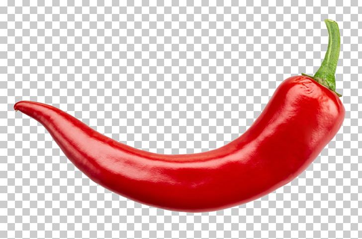 Serrano Pepper Birds Eye Chili Chili Pepper Hot Sauce Scoville Unit PNG, Clipart, Bhut Jolokia, Birds Eye Chili, Capsicum, Capsicum Annuum, Cayenne Pepper Free PNG Download