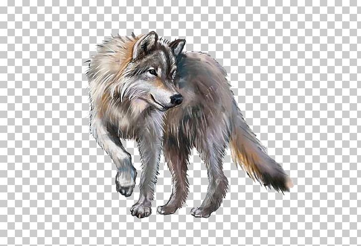 Gray Wolf PNG, Clipart, Art, Canis Lupus Tundrarum, Carnivoran, Coyote, Dog Breed Group Free PNG Download