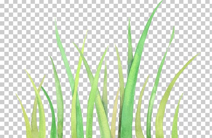 Icon PNG, Clipart, Angle, Artificial Grass, Cartoon, Cartoon Grass, Creative Grass Free PNG Download