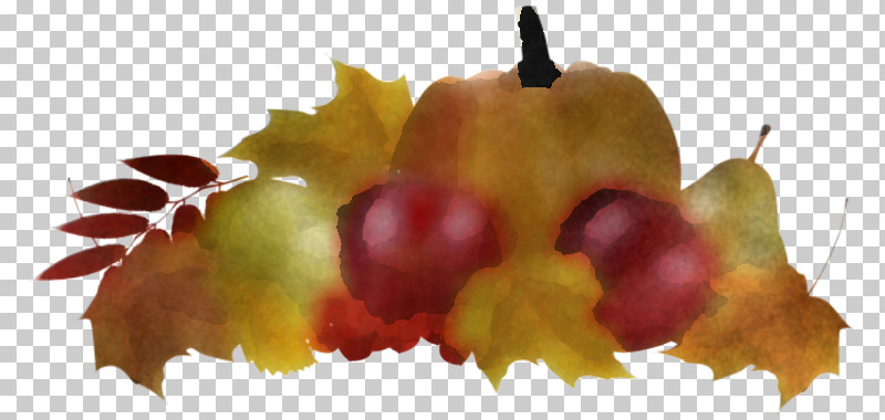 Plane PNG, Clipart, Accessory Fruit, Autumn, Berry, Fruit, Grape Free PNG Download