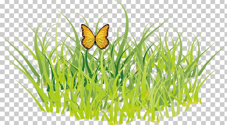 Butterfly GRASS GIS PNG, Clipart, Artificial Grass, Butterflies And Moths, Flower, Grass, Happy Birthday Vector Images Free PNG Download