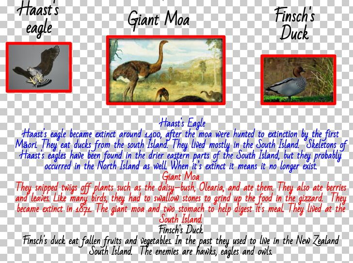 Mammal Line Font PNG, Clipart, Animals, Area, Art, Extinct, Extinct Animals Free PNG Download
