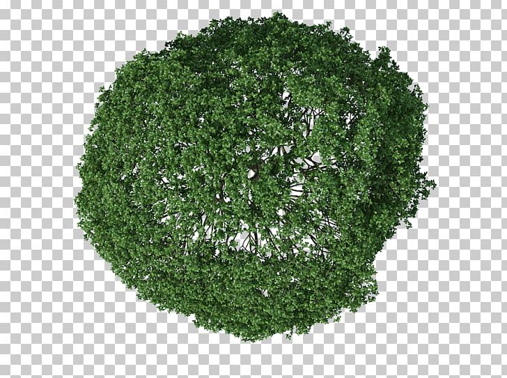 Leaf Vegetable Landscape Others PNG, Clipart, Architecture, Data, Download, Grass, Herb Free PNG Download