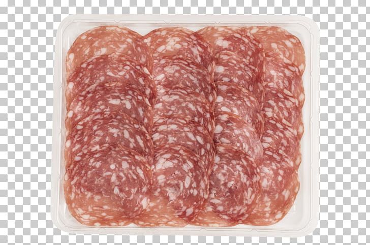 Genoa Salami Soppressata Mettwurst Sausage PNG, Clipart, Animal Fat, Animal Source Foods, Back Bacon, Bacon, Beef Free PNG Download