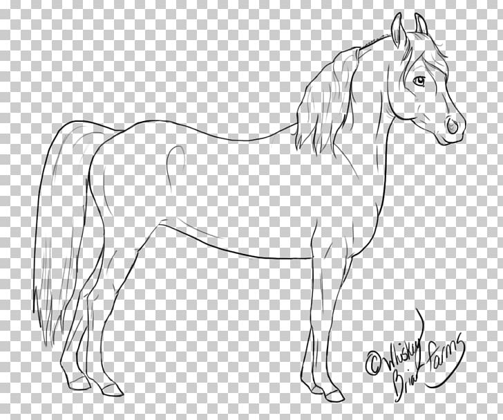 Mane Mustang Stallion Colt Bridle PNG, Clipart, Animal, Animal Figure, Artwork, Black And White, Bridle Free PNG Download