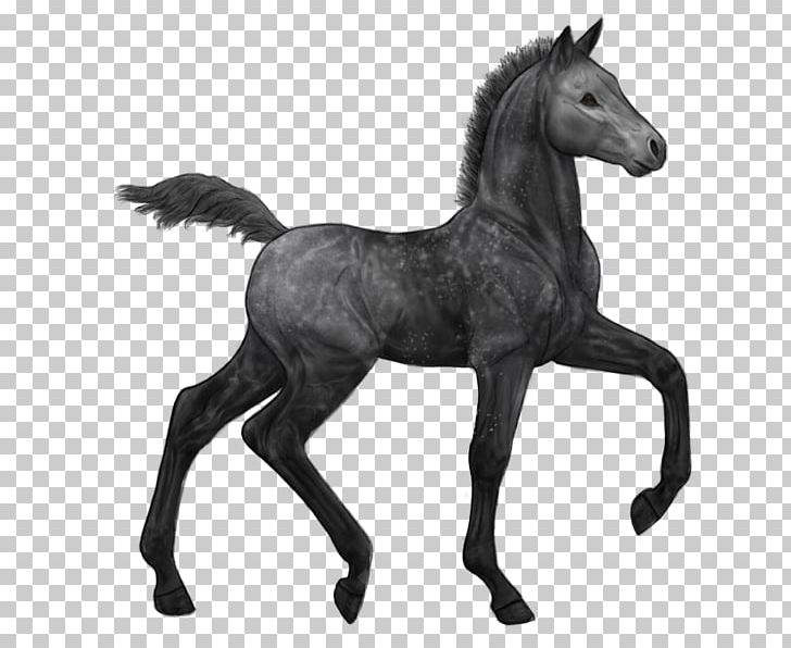 Mustang Stallion Arabian Horse Foal Colt PNG, Clipart, Animal Figure, Arabian Horse, Art, Colt, Equestrian Free PNG Download