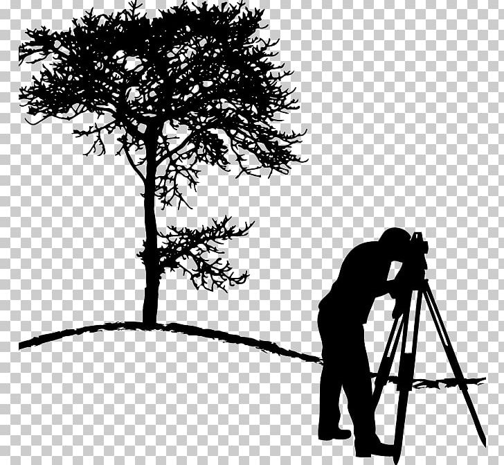Surveyor Company PNG, Clipart, Architectural Engineering, Black And White, Branch, Civil Engineering, Clip Art Free PNG Download