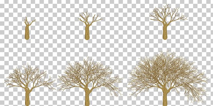 Tree Glog Wood Fact PNG, Clipart, Art, Branch, Fact, Glog, Glogster Free PNG Download