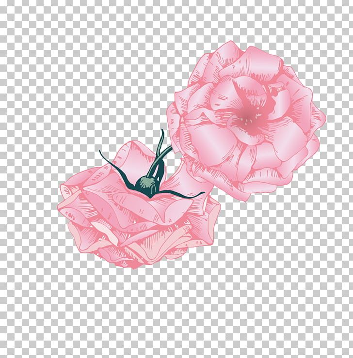 Beach Rose Pink Euclidean PNG, Clipart, Cartoon, Color, Concepteur, Designer, Flower Free PNG Download