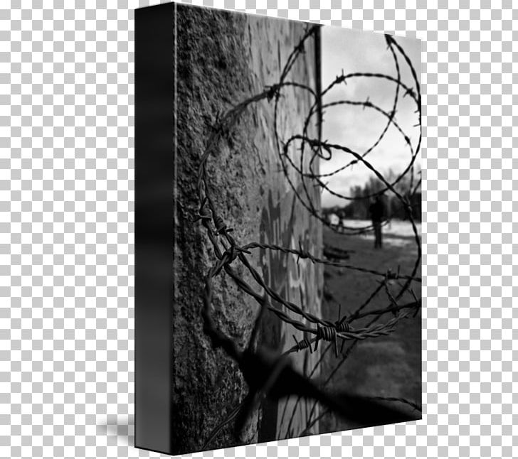 Still Life Photography Desktop Still Life Photography Wood PNG, Clipart, Berlin Wall, Black, Black And White, Black M, Branch Free PNG Download