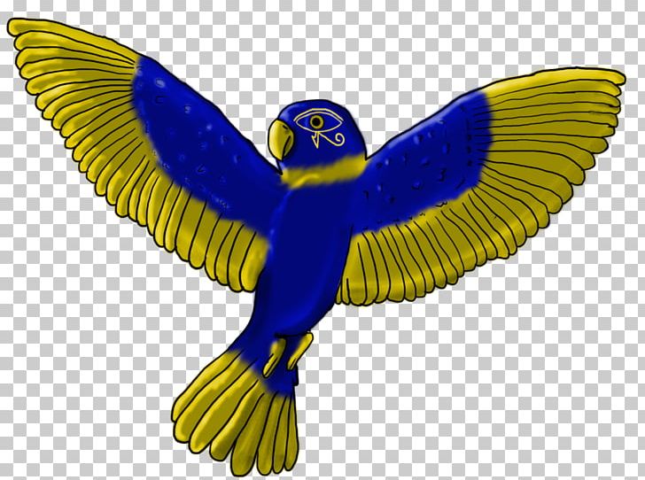 Macaw Parakeet Feather Beak Pet PNG, Clipart, Beak, Bird, Common Pet Parakeet, Feather, Macaw Free PNG Download