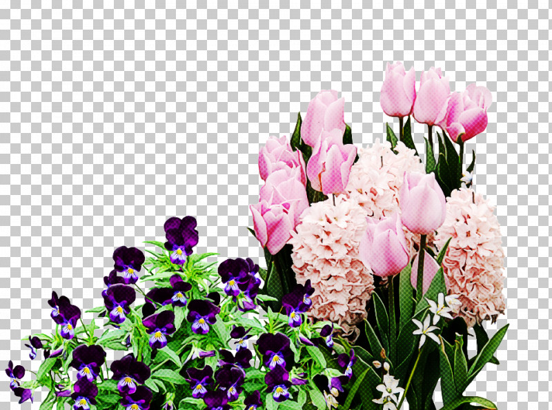 Floral Design PNG, Clipart, Annual Plant, Bouquet, Cut Flowers, Floral Design, Floristry Free PNG Download