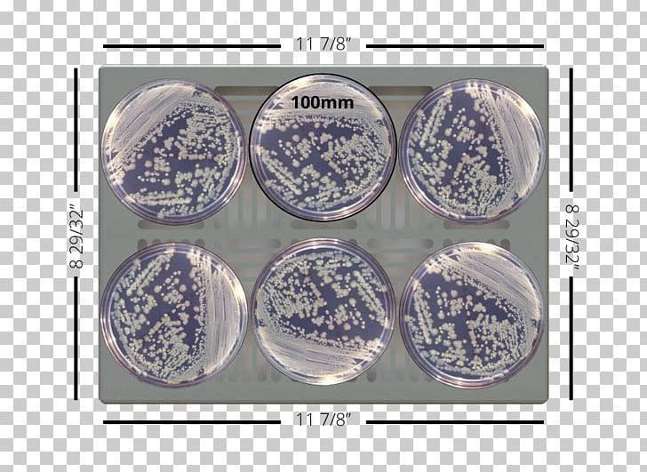 Enterobacter Cloacae Plastic Product Blue And White Pottery Tableware PNG, Clipart, Blue And White Porcelain, Blue And White Pottery, Dishware, Enterobacter, Petri Dishes Free PNG Download
