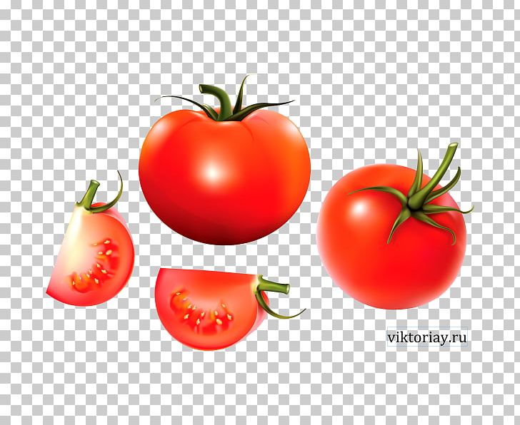Plum Tomato Bush Tomato Cherry Tomato Vegetable Food PNG, Clipart, Bush Tomato, Cherry Tomato, Chinese Cabbage, Diet Food, Eggplant Free PNG Download