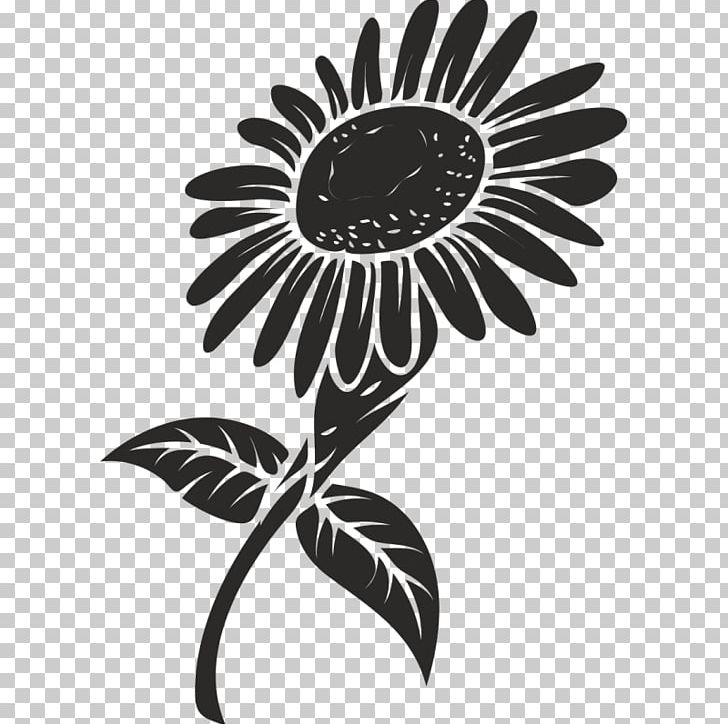 Graphics Common Sunflower PNG, Clipart, Aycicegi, Black, Black And White, Common Sunflower, Daisy Family Free PNG Download