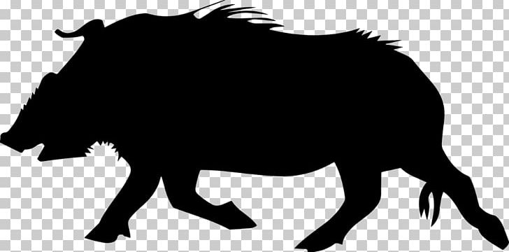 Wild Boar Drawing PNG, Clipart, Animals, Art, Black And White, Cattle Like Mammal, Drawing Free PNG Download