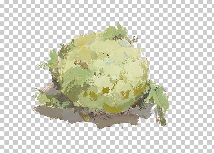 Color Chinese Cabbage Vegetable Gouache Painting PNG, Clipart, Auglis, Blue, Cabbage, Chinese Border, Chinese Cabbage Free PNG Download