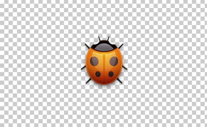 Macintosh Coccinella Septempunctata MacUpdate PNG, Clipart, Arthropod, Beetle, Coccinella, Computer Wallpaper, Cute Ladybug Free PNG Download