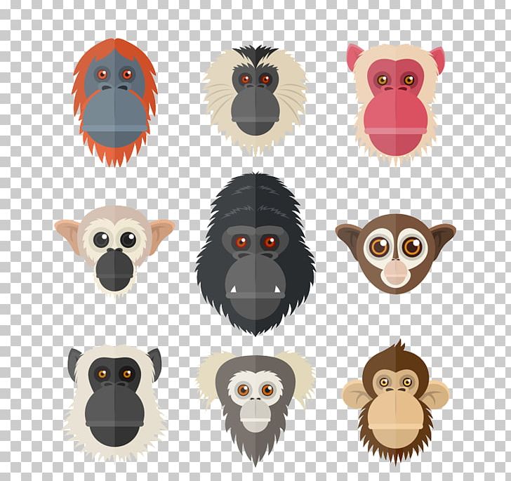 Primate Orangutan Chimpanzee Euclidean Monkey PNG, Clipart, Animal, Animals, Ape, Apes, Baboon Free PNG Download
