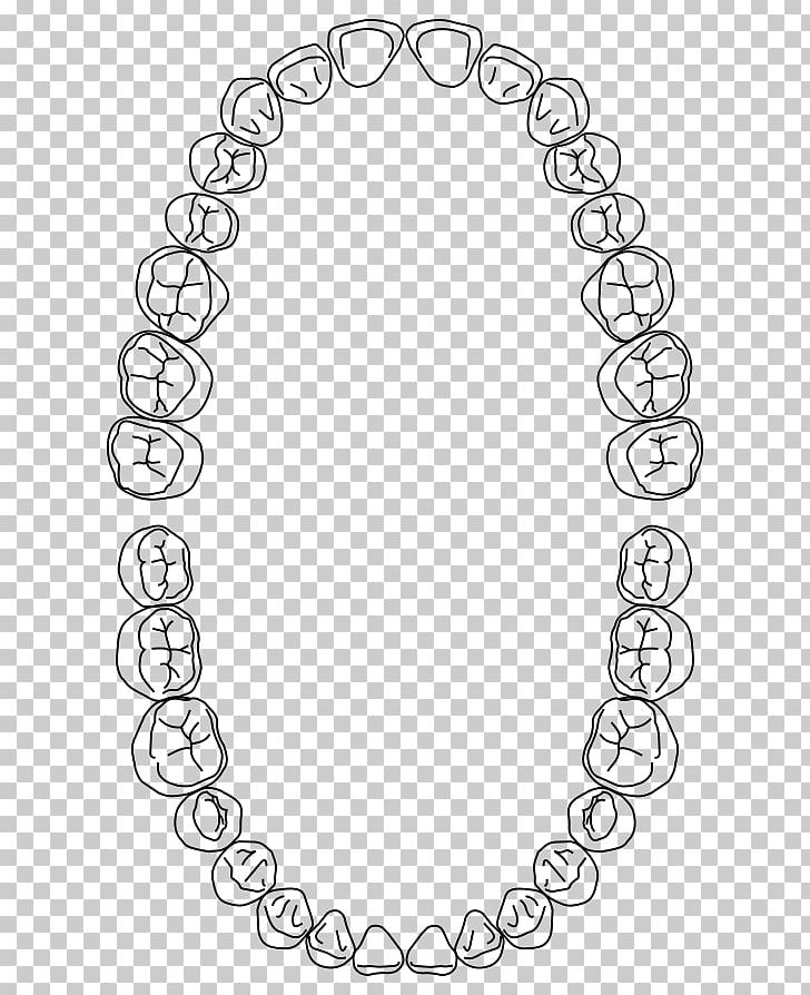 Dentistry Dental Arch Dentures Human Tooth PNG, Clipart, Arch, Area, Auto Part, Black, Black And White Free PNG Download