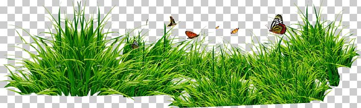 Editing Resolution PNG, Clipart, Clip Art, Commodity, Desktop Wallpaper, Display Resolution, Download Free PNG Download