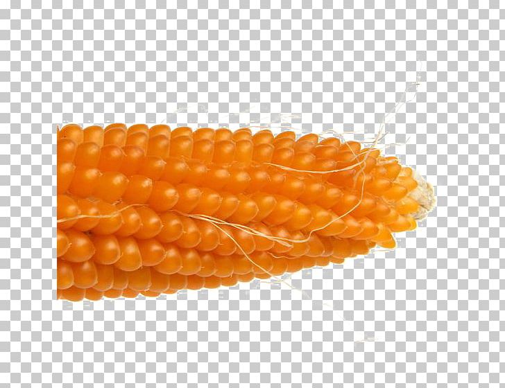 Corn On The Cob Maize Wotou PNG, Clipart, Adobe Illustrator, Buckle, Cob, Commodity, Corn Free PNG Download