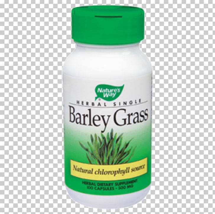 Dietary Supplement Herb Capsule Vitamin Dandelion PNG, Clipart, Barley, Capsule, Dandelion, Diet, Dietary Supplement Free PNG Download
