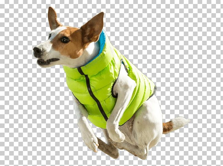 Dog Breed Jacket Waistcoat Gilets PNG, Clipart, Clothing, Collar, Companion Dog, Dog, Dog Breed Free PNG Download