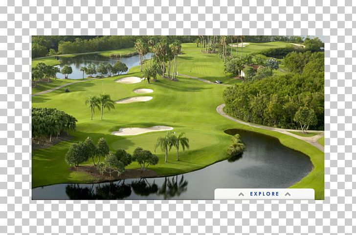 Golf Course Golf Clubs Water Resources Pond PNG, Clipart, Bay, Coral, Country Club, Deer, Gable Free PNG Download