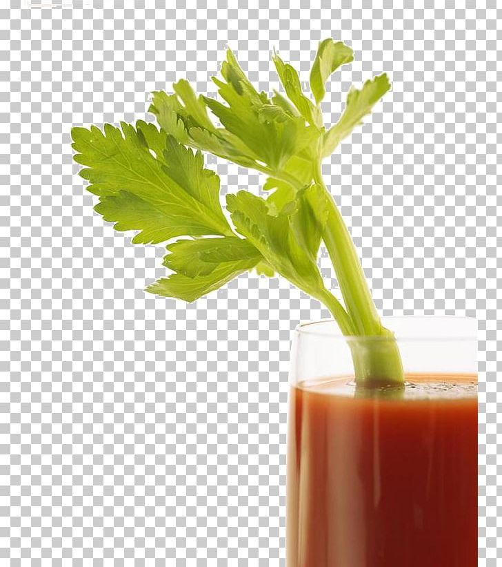 Juicer Smoothie Celery Tomato PNG, Clipart, Celery, Drink, Flowerpot, Food, Food Drinks Free PNG Download