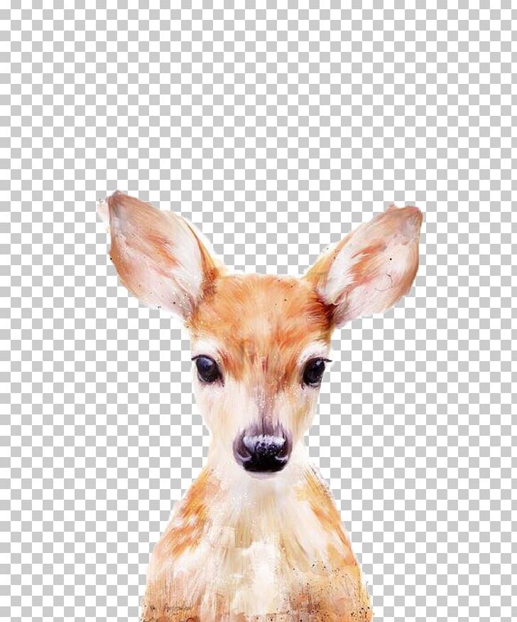 Deer Amy Hamilton Design + Illustration Printmaking Painting Graphic Designer PNG, Clipart, Amy Hamilton Designillustration, Animal, Animals, Art, Background White Free PNG Download