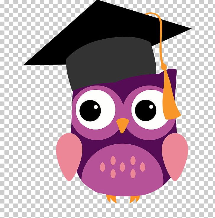 Graduation Ceremony Zazzle Academic Certificate Owl Gift PNG, Clipart, Animals, Beak, Bird, Bird Of Prey, Blackandwhite Owl Free PNG Download
