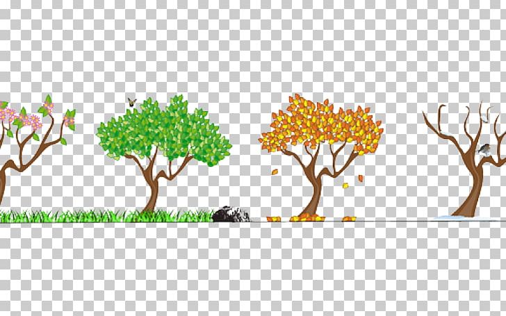 Season Northern Hemisphere Autumn PNG, Clipart, Autumn, Branch, Clip Art, Diagram, Drawing Free PNG Download