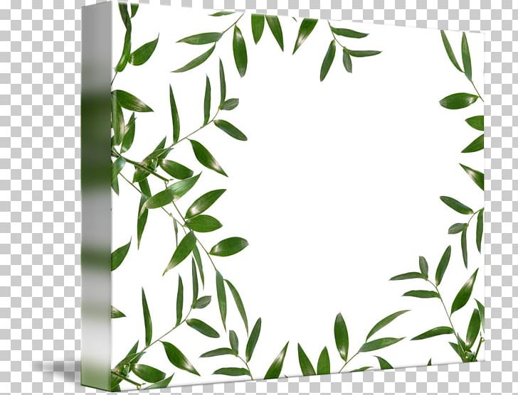 Twig Leaf Plant Stem Frames PNG, Clipart, Branch, Flora, Flower, Garden, Grass Free PNG Download
